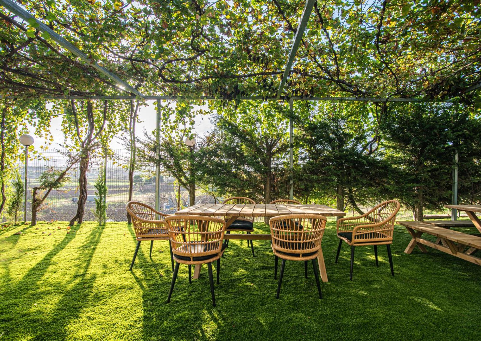 Iviskos Apartment Oinofyta Luaran gambar